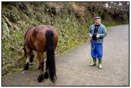Fotografia de Joan Mercadal - Galeria Fotografica: Galicia rural - Foto: Galicia rural
