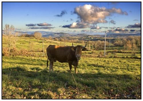 Fotografia de Joan Mercadal - Galeria Fotografica: Galicia rural - Foto: Galicia rural