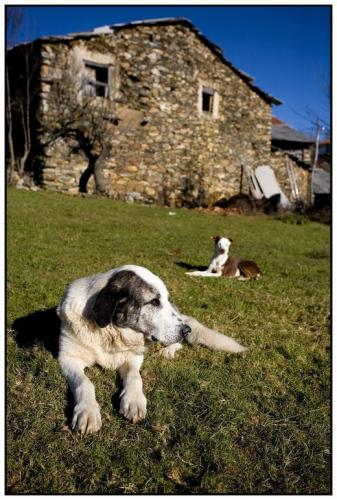 Fotografia de Joan Mercadal - Galeria Fotografica: Galicia rural - Foto: Galicia rural