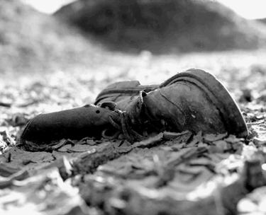 Fotografia de OscarCalderon - Galeria Fotografica: Alimentos - Foto: Zapatos3