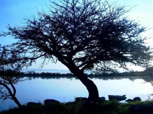 Fotografia de OscarCalderon - Galeria Fotografica: El monte - Foto: Amanecer Azul