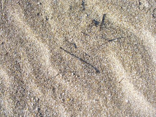 Fotografia de Lux - Galeria Fotografica: Luces - Foto: 