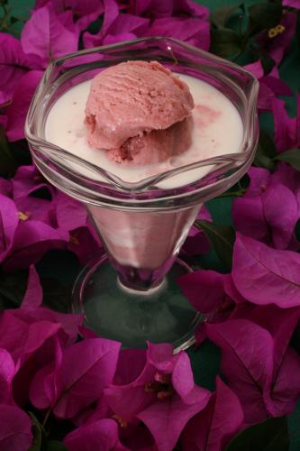 Fotografia de OscarCalderon - Galeria Fotografica: Alimentos - Foto: 	Holado de fresa							