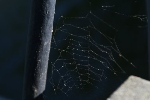 Fotografia de Israel Gmez - Galeria Fotografica: Viajes/Paisajes - Foto: 