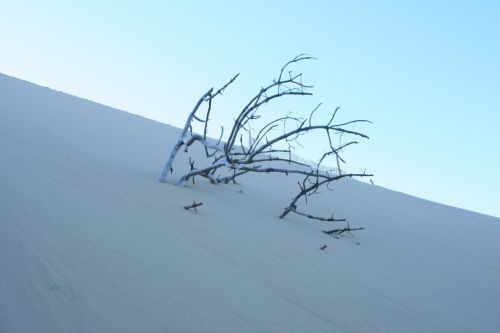 Fotografia de Israel G�mez - Galeria Fotografica: Viajes/Paisajes - Foto: 