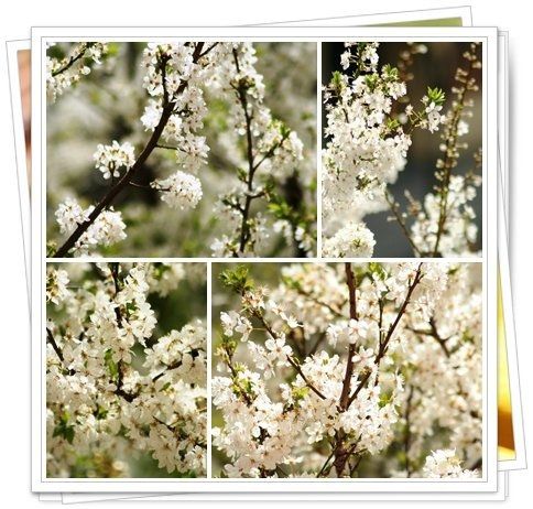 Fotografia de Javier - Galeria Fotografica: Una nueva estapa - Foto: 