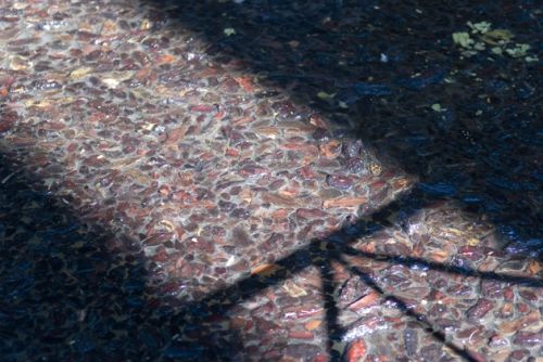 Fotografia de EAC - Galeria Fotografica: COLOR - Foto: 