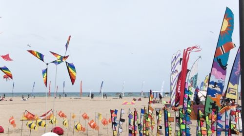 Fotografia de EAC - Galeria Fotografica: COLOR - Foto: 