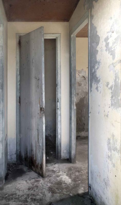 Fotografia de david ribas - Galeria Fotografica: as auras do cotian - Foto: s/t