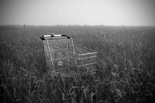 Fotografia de david ribas - Galeria Fotografica: intervencins - Foto: deus proveera?