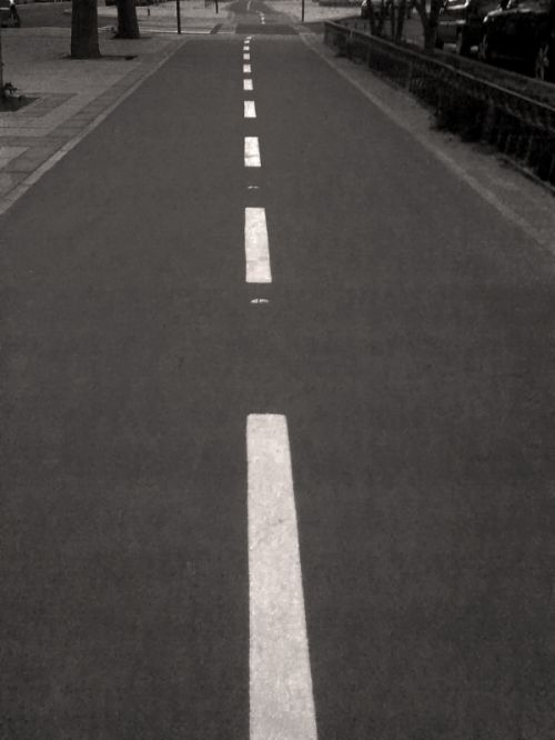 Fotografia de Javier - Galeria Fotografica: Una nueva estapa - Foto: Nuevos caminos