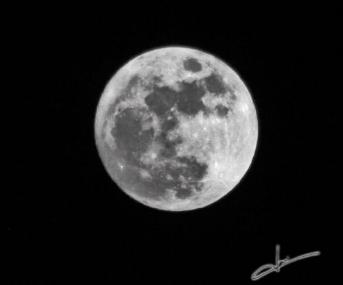 Fotografia de Javier - Galeria Fotografica: Una nueva estapa - Foto: 