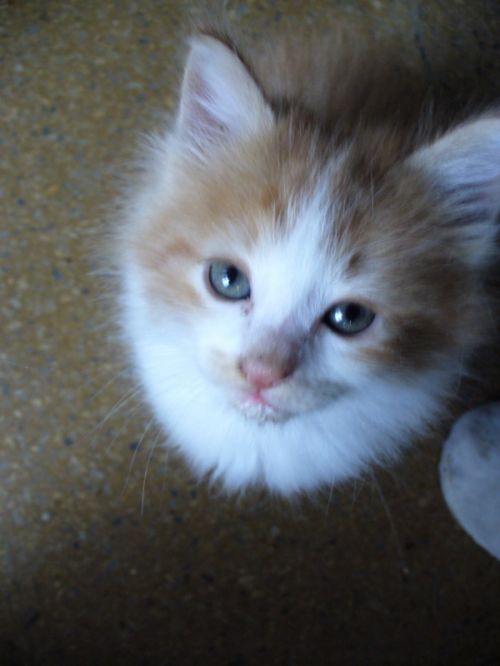 Fotografia de Lux - Galeria Fotografica: Luces - Foto: 