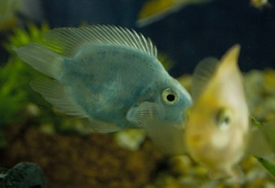 Fotografia de Casandra Abreu - Galeria Fotografica: Animales - Foto: 