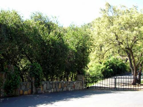 Fotografia de Ana Maria - Galeria Fotografica: Windsong Lane - Foto: Frescura