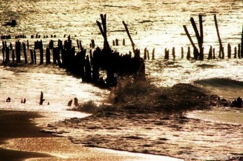 Fotografia de L-studio (spazio creativo) - Galeria Fotografica: PAISAJE ARTSTICO - Foto: atardecer en chelem, yucatn