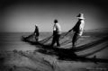 Foto de  L-studio (spazio creativo) - Galería: PAISAJE ARTSTICO - Fotografía: pescadores en chicxulub, yucatn