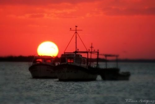 Fotografia de L-studio (spazio creativo) - Galeria Fotografica: PAISAJE ART�STICO - Foto: R�o Lagartos, yucat�n