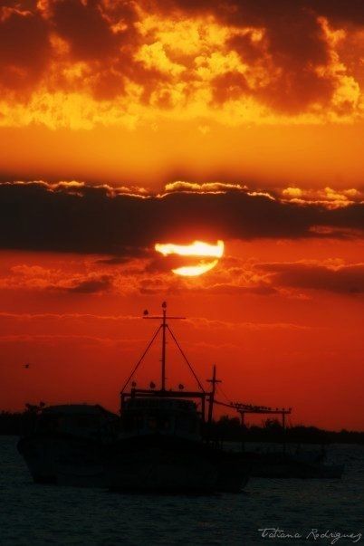 Fotografia de L-studio (spazio creativo) - Galeria Fotografica: PAISAJE ARTSTICO - Foto: Ro Lagartos, yucatn II