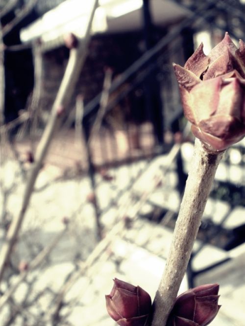 Fotografia de perfectdisaster - Galeria Fotografica: pequeas cosas - Foto: 