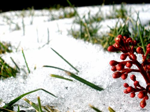 Fotografia de perfectdisaster - Galeria Fotografica: pequeas cosas - Foto: 