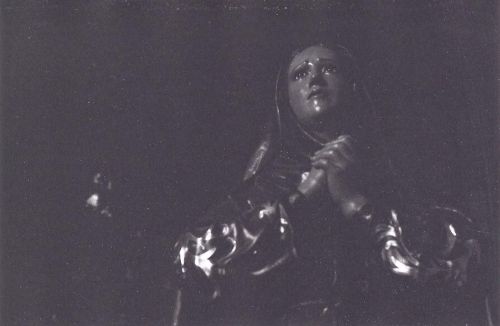 Fotografia de Mario A. Brise�o Acosta - Galeria Fotografica: Sin titulo - Foto: 