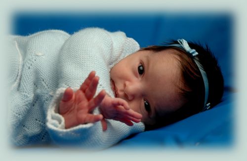 Fotografia de KARL OLIVER - Galeria Fotografica: LOS REYES DE LA CASA - Foto: 