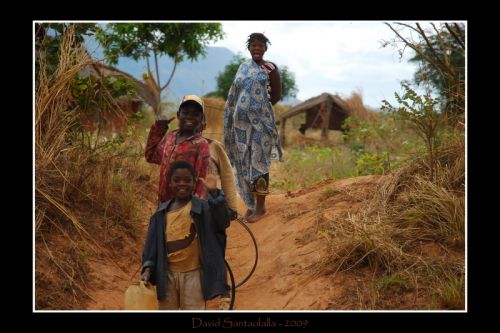 Fotografia de Cebolledo - Galeria Fotografica: Jambul� - Foto: Adios