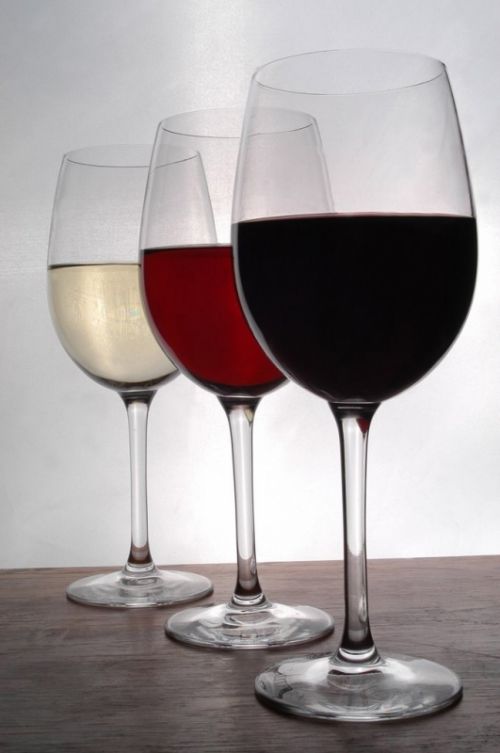 Fotografia de pancho varela - Galeria Fotografica: Fotografa Profesional - Foto: 