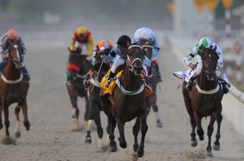 Fotografia de JOTABE - Galeria Fotografica: SOLO DEPORTE - Foto: 