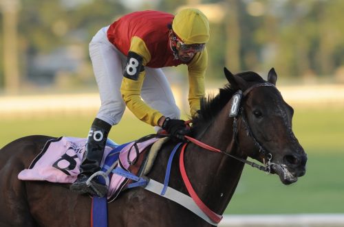 Fotografia de JOTABE - Galeria Fotografica: SOLO DEPORTE - Foto: 