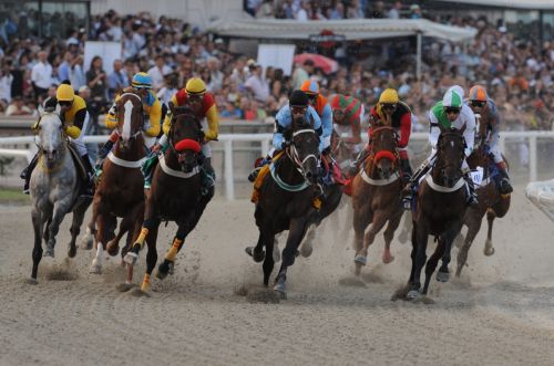 Fotografia de JOTABE - Galeria Fotografica: SOLO DEPORTE - Foto: 