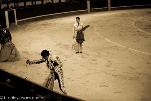 Fotografia de Bradley Evans Photo - Galeria Fotografica: Miscelanea - Foto: 