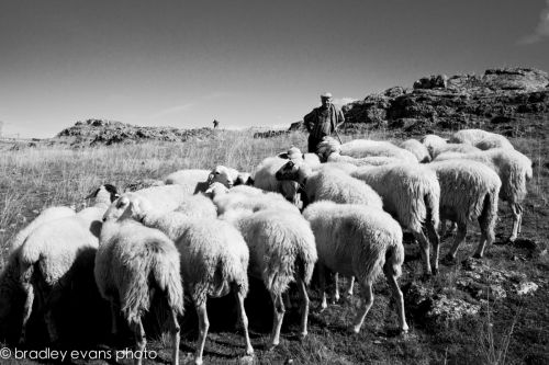 Fotografia de Bradley Evans Photo - Galeria Fotografica: Miscelanea - Foto: 