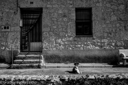 Fotografia de Bradley Evans Photo - Galeria Fotografica: Miscelanea - Foto: 