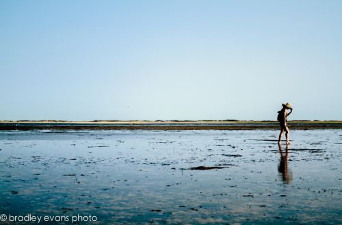 Fotografia de Bradley Evans Photo - Galeria Fotografica: Miscelanea - Foto: 