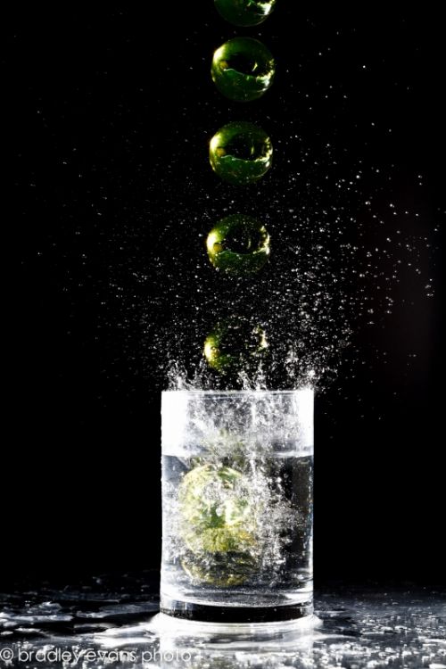 Fotografia de Bradley Evans Photo - Galeria Fotografica: Miscelanea - Foto: 