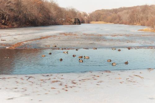 Fotografia de belleza - Galeria Fotografica: fotografias diversas - Foto: retratos