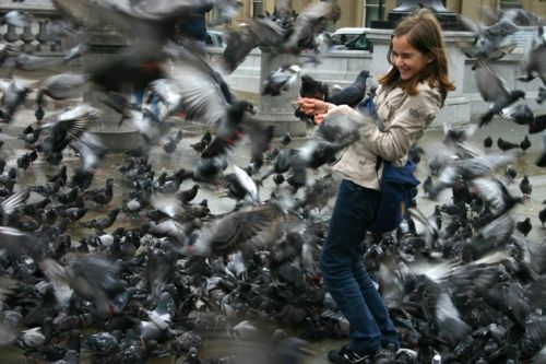 Fotografia de Carles Hernandez - Galeria Fotografica: Fotos varias - Foto: 