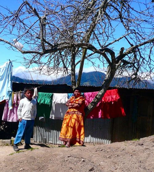 Fotografia de emily gritus farrar - Galeria Fotografica: the art of the ngabe bugle  - Foto: 