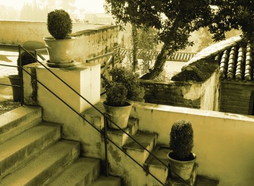 Fotografia de Pablo Hernndez Walta - Galeria Fotografica: Portfolio 01 - Foto: Granada 2.009.