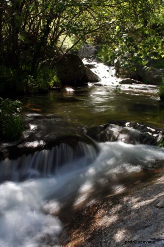 Fotografia de pedro acevedo - Galeria Fotografica: el bierzo - Foto: 
