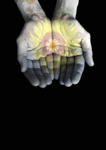 Fotografia de el8 - Galeria Fotografica: una parte de un todo - Foto: saludo al sol