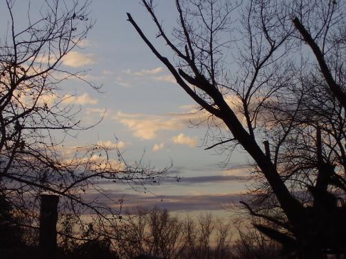 Fotografia de Shibu - Galeria Fotografica: Esencia. - Foto: Tarde.