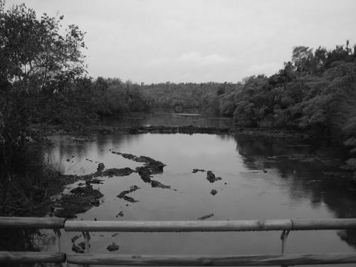 Fotografia de Shibu - Galeria Fotografica: Esencia. - Foto: Agua de Misiones 2.