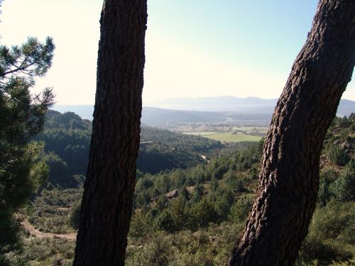 Fotografia de tomasz - Galeria Fotografica: SIERRA GUADARRAMA - Foto: 