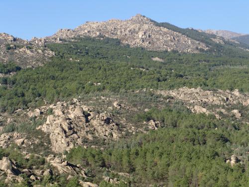 Fotografia de tomasz - Galeria Fotografica: SIERRA GUADARRAMA - Foto: 