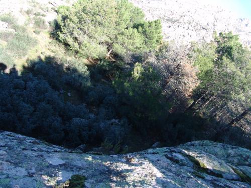 Fotografia de tomasz - Galeria Fotografica: SIERRA GUADARRAMA - Foto: 