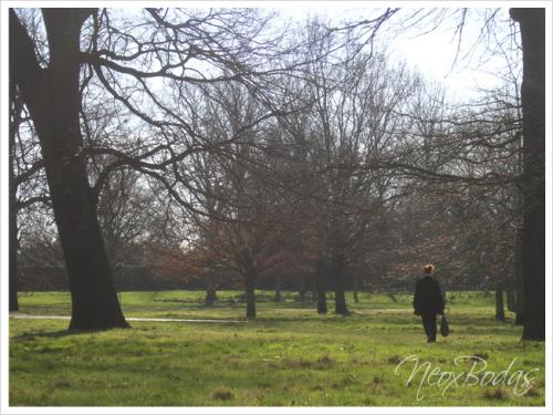 Fotografia de Neox Bodas - Galeria Fotografica: londres - Foto: 
