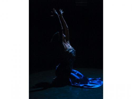 Fotografia de Geko, Conceptos Fotogrficos - Galeria Fotografica: Danza - Foto: 